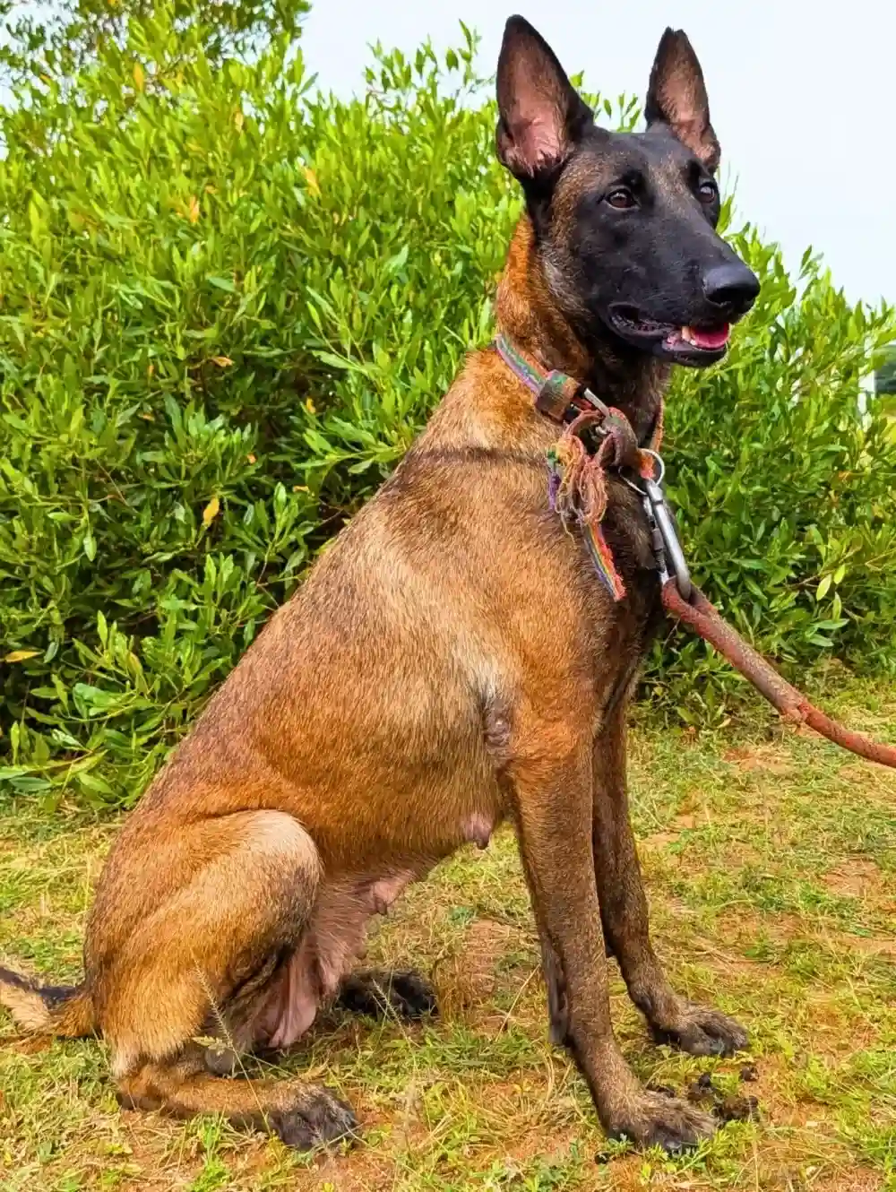 JEY FORCE facility overview